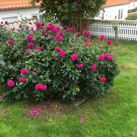 Ebeltoft-rooms Gasthof